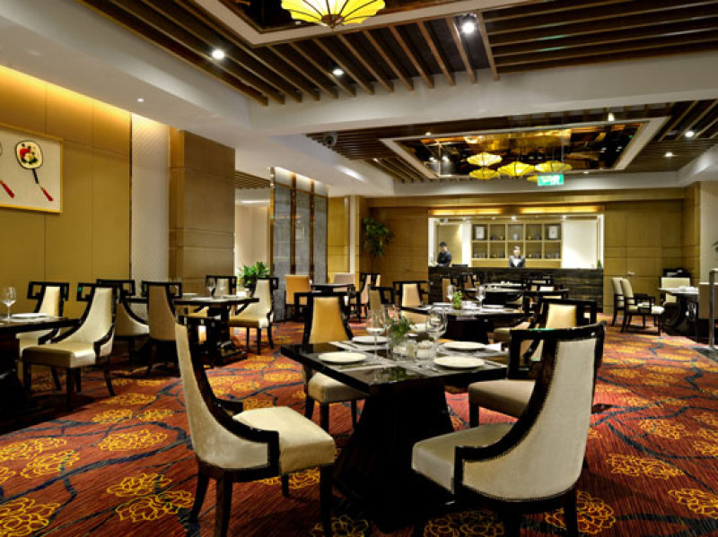 成都林恩国际酒店