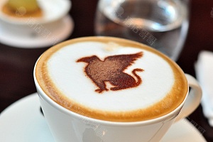 狮鹫咖啡
