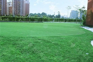 深圳观澜格兰云天国际酒店高尔夫场