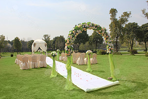 草坪婚礼1