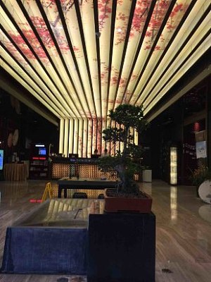 南京中江书香世家酒店会议场地-大堂（1）