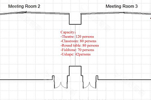 Meetig Room2+3平面图