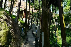 森林石阶