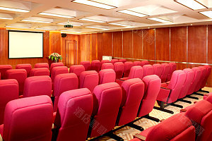 八楼影院式会议室