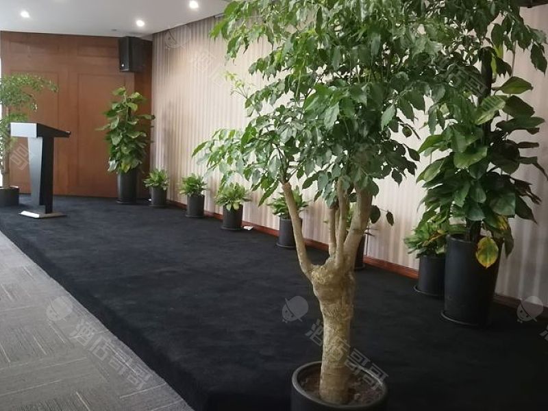 重庆思而锐教育