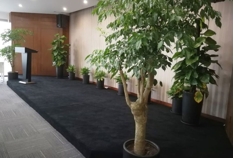 重庆思而锐教育